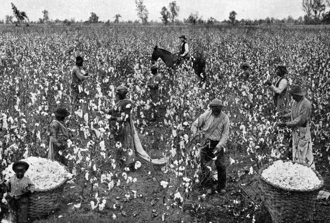 What Does Labor Day Mean When America Still Owes a Debt for Centuries of Stolen Black Labor?